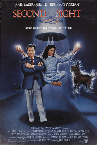 Illustration for article titled Second Sight (1989)